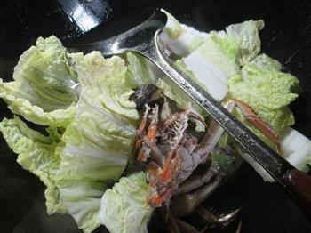大闸蟹烧白菜的做法步骤6
