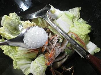 大闸蟹烧白菜的做法图解8