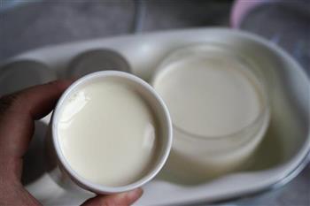 自制酸奶的做法步骤7