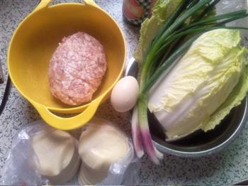 白菜猪肉锅贴的做法步骤1