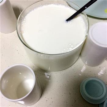 自制川秀儿童菌酸奶的做法图解4