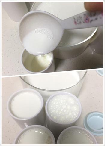 自制川秀儿童菌酸奶的做法图解5