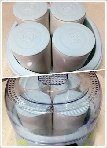 自制川秀儿童菌酸奶的做法图解6