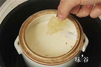 美白润肤的牛奶炖花胶的做法步骤5