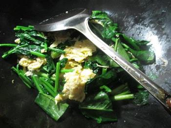 虾皮鸡蛋炒菠菜的做法步骤5