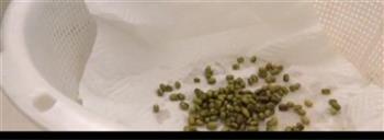 自发绿豆芽的做法步骤4
