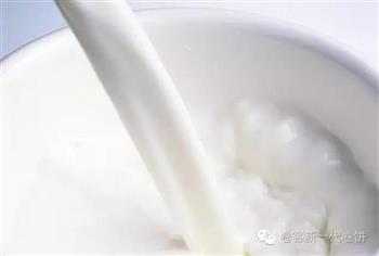 北海道牛奶布丁的做法步骤5