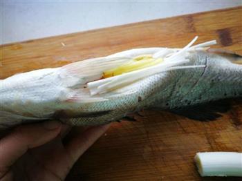 清蒸海鲈鱼的做法步骤4