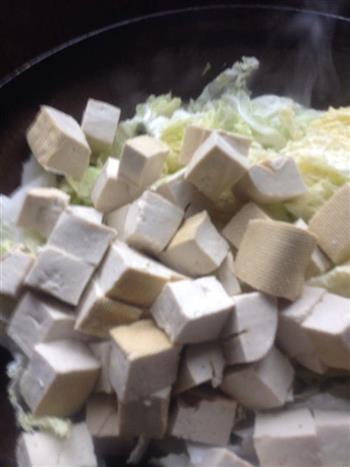 白菜炖老豆腐的做法步骤4
