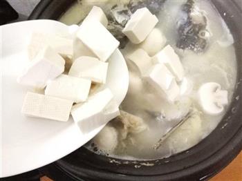 蘑菇豆腐鱼头汤的做法步骤11