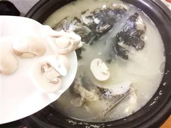 蘑菇豆腐鱼头汤的做法步骤9
