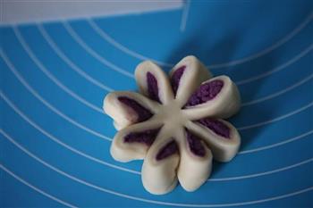 紫薯桂花酥的做法图解44