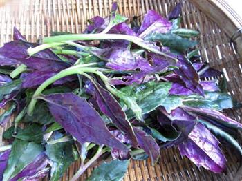 百合炒紫背菜的做法图解1
