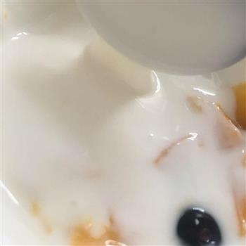 自制手工酸奶的做法图解10