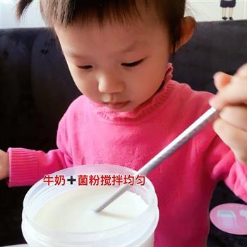 自制手工酸奶的做法图解3