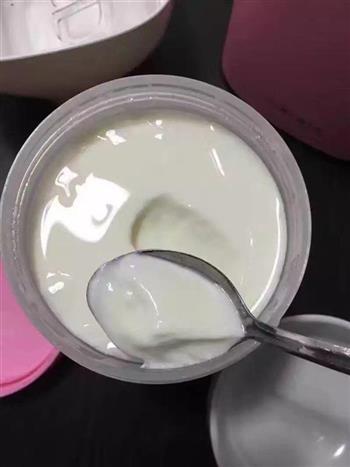 自制手工酸奶的做法图解7