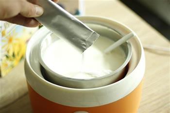 益生元酸奶的做法图解5