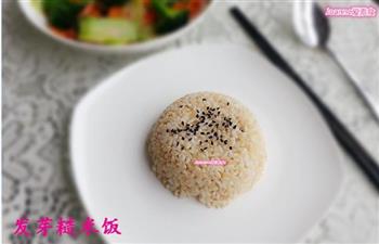 姬松茸发芽糙米粥的做法图解5