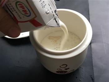 牛奶炖花胶的做法图解3