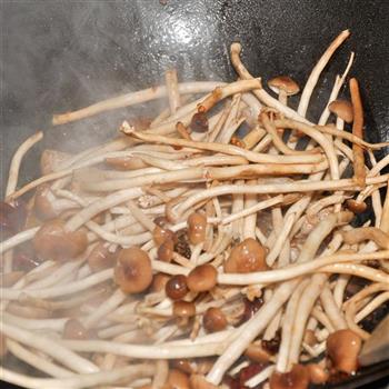 干锅茶树菇的做法步骤10