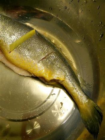 老坛酸菜黄花鱼的做法步骤1