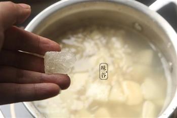 雪梨马蹄薏米糖水的做法图解5