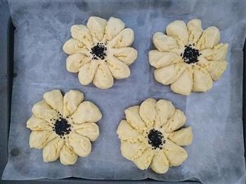 椰蓉花朵面包的做法图解11