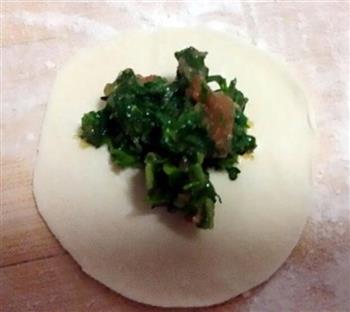荠菜猪肉水饺的做法步骤15