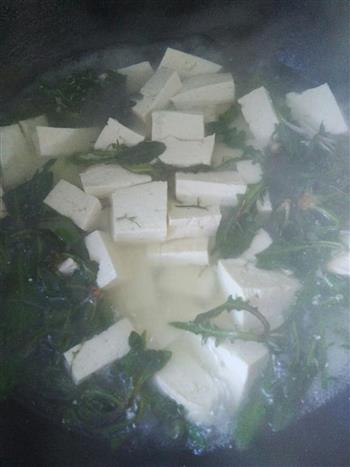 苦菜炖豆腐的做法步骤3