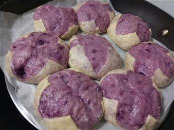 紫薯花苞馒头的做法图解14