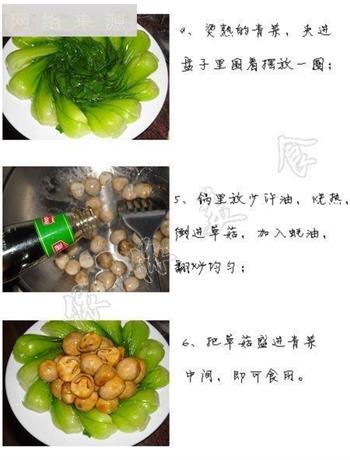 蚝油草菇扒菜胆的做法步骤2