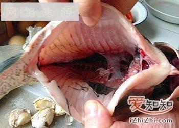 家常菜谱-红烧鳊鱼的做法步骤2