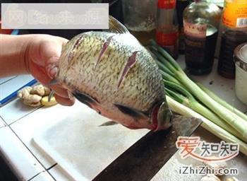 家常菜谱-红烧鳊鱼的做法图解3