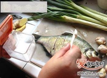 家常菜谱-红烧鳊鱼的做法图解6