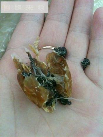木瓜银耳炖雪蛤的做法图解4