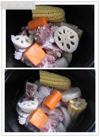 鲜彩排骨汤的做法图解3
