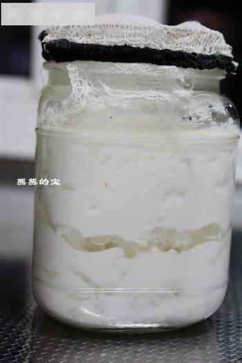 雪莲菌版自制酸奶西瓜奶昔的做法图解3