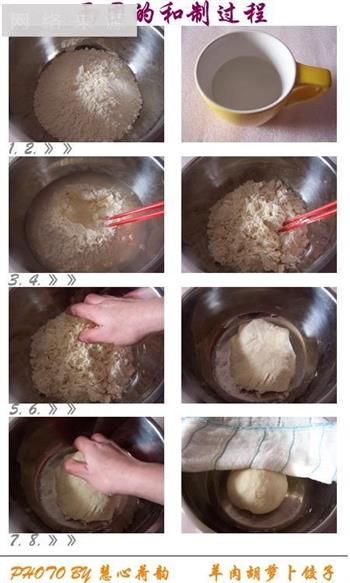 羊肉胡萝卜饺子的做法步骤1