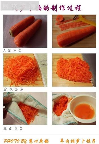羊肉胡萝卜饺子的做法图解24