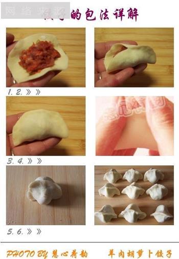 羊肉胡萝卜饺子的做法步骤50