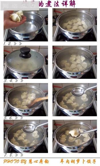羊肉胡萝卜饺子的做法步骤56