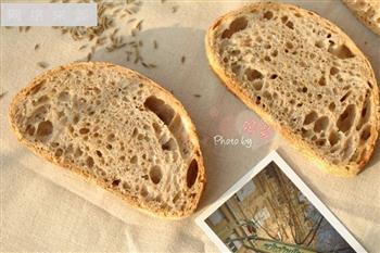 5分钟面包-粗黑麦面包的做法图解10