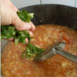 西红柿疙瘩汤的做法图解8