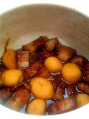 红烧肉炖小土豆的做法步骤10