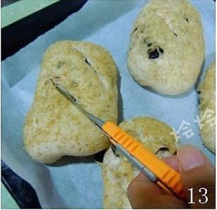 胚芽核桃面包的做法步骤13