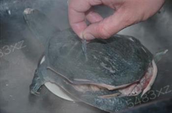 红烧甲鱼的做法步骤8