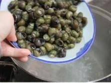 紫苏豉酱炒石螺的做法步骤3