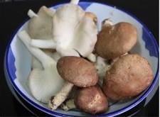 鲜菇猪红汤的做法图解4