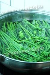凉拌蕨菜的做法步骤2