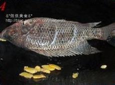 红烧福寿鱼的做法图解4